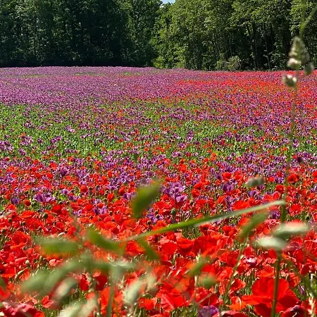 Zillners Einkehr *** Hotel 3*