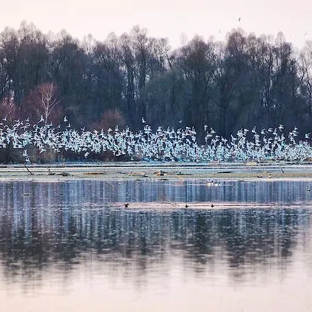 Zillners Einkehr *** Altheim