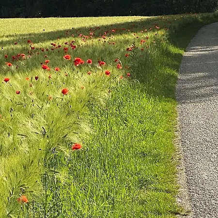 Zillners Einkehr *** 3* Altheim