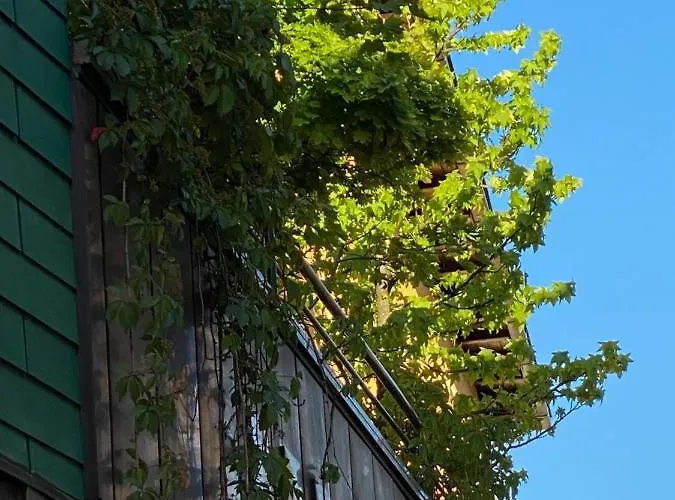 Zillners Einkehr *** 3* Altheim